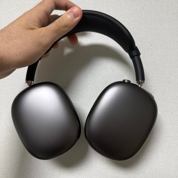 에어팟 맥스 스그 