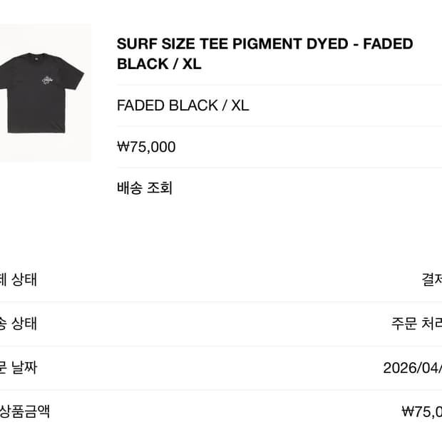 스투시 SURF SIZE TEE PIGMENT DYED