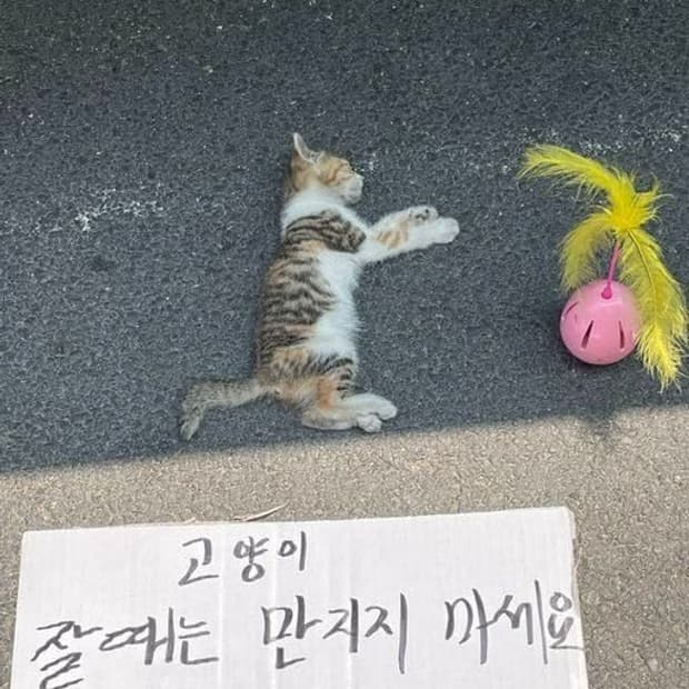 거래창