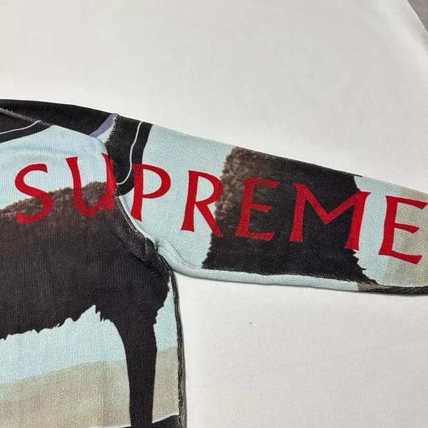 슈프림 데미안허스트 스웨터 L