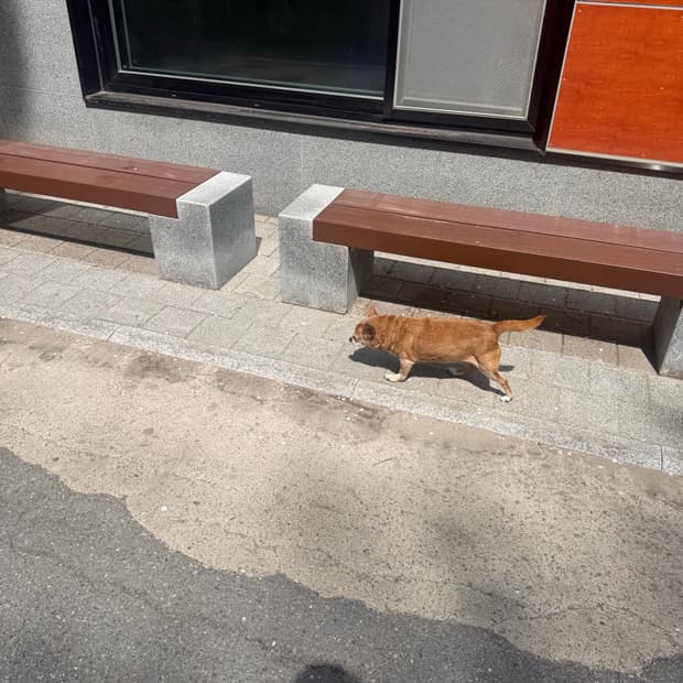 폴리테루 반지 호수상관없이 구매합니다! 연락주세용