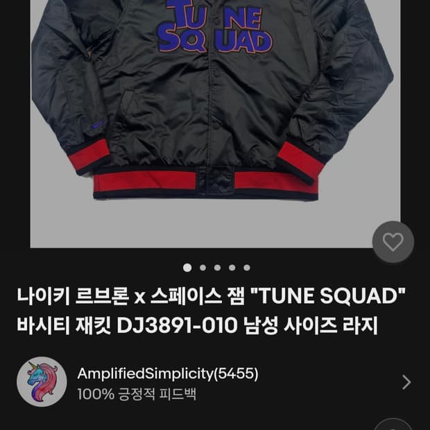 나이키 르브론 x 스페이스잼 바시티자켓