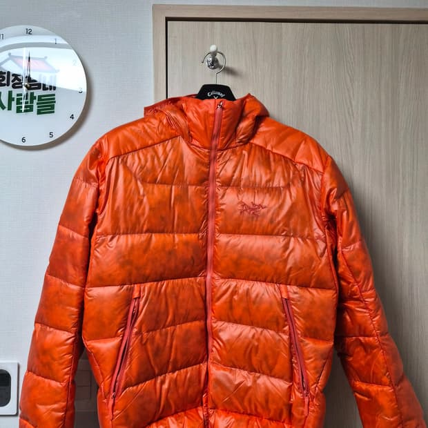 아크테릭스 세륨 SV 솔라리스 L