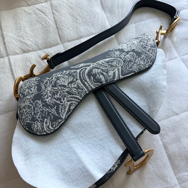 디올 뜨왈 드 주이 새들백