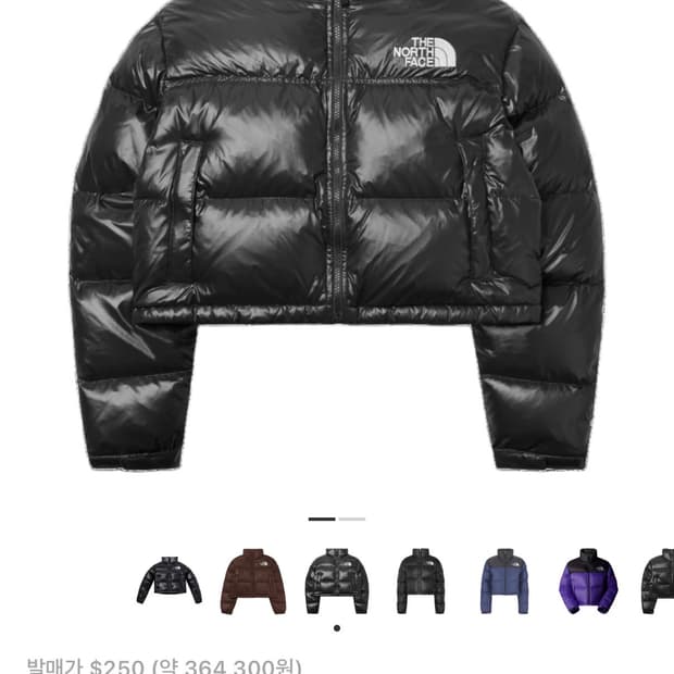 노스페이스 크롭 눕시