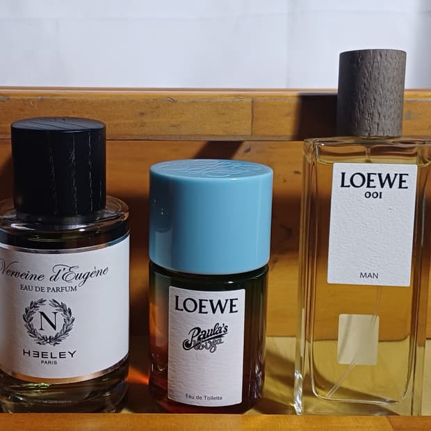 로에베향수 폴라 이비자 50ml