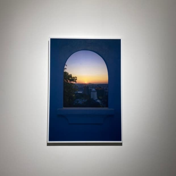 셀린느 트리오페 타부백