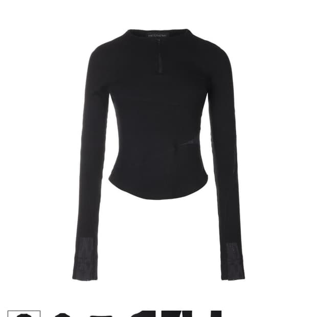 미스테페넘 긴팔티