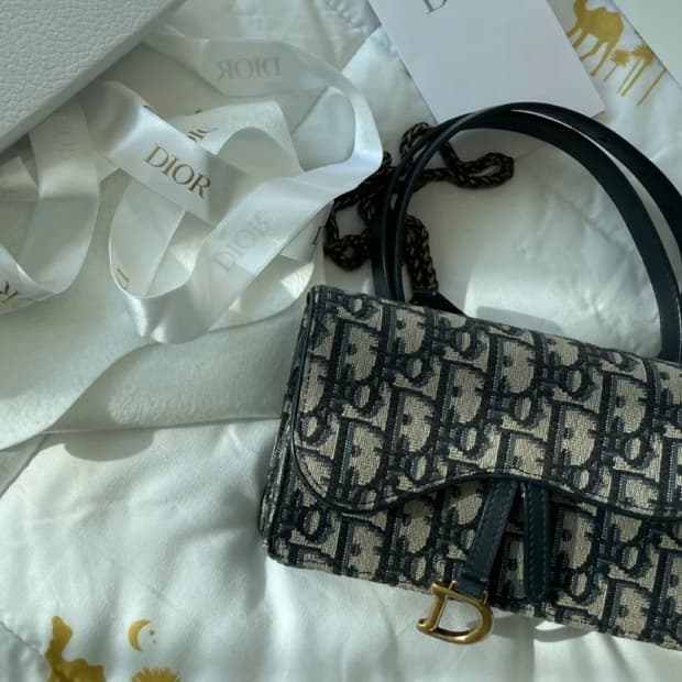 디올 오블리크 새들 벨트파우치백 팝니다