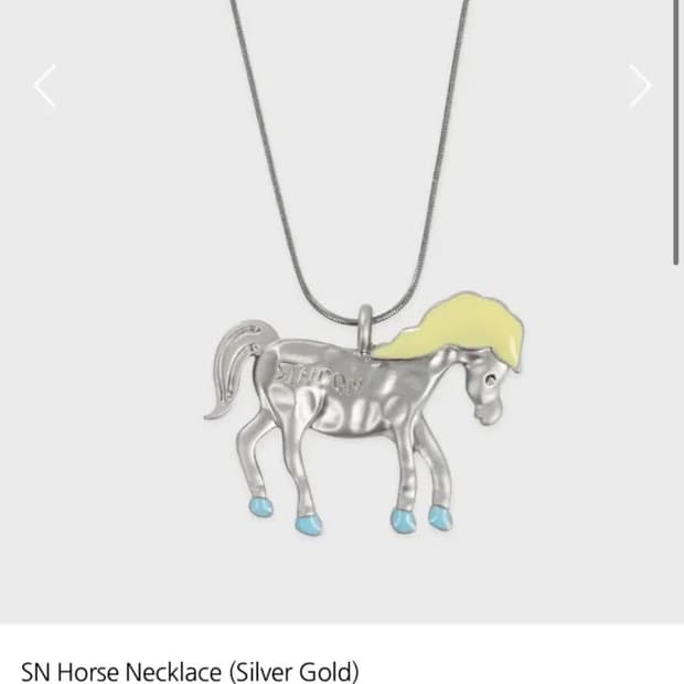시눈 sn horse necklace sinoon목걸이 구함