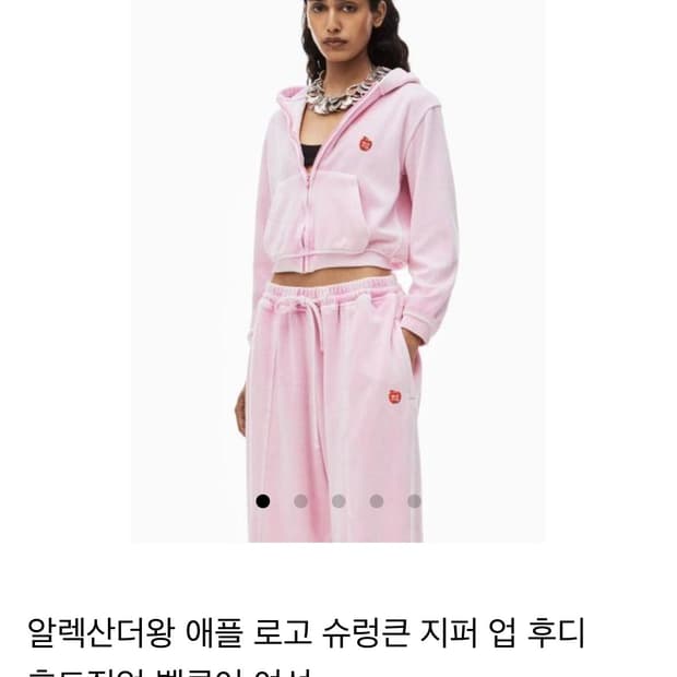 알렉산더왕 후드집업 M 사이즈