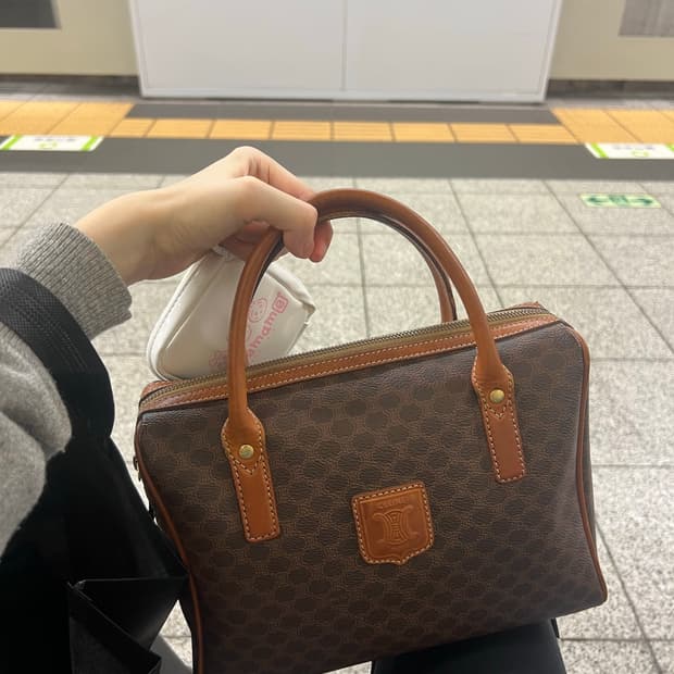 셀린 미니 보스턴