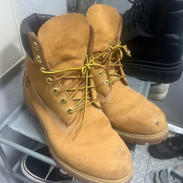 [280] 팀버랜드 6인치 프리미엄 워터프루프 부츠 (10061)