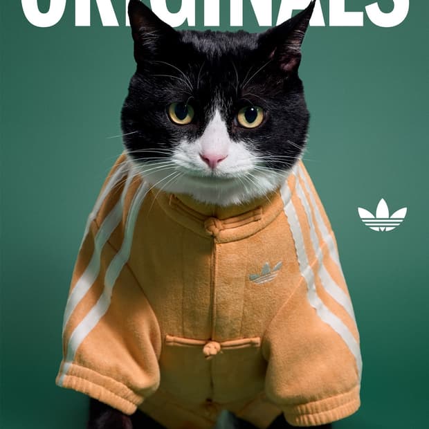 아디다스 강아지 고양이 옷 중티다스