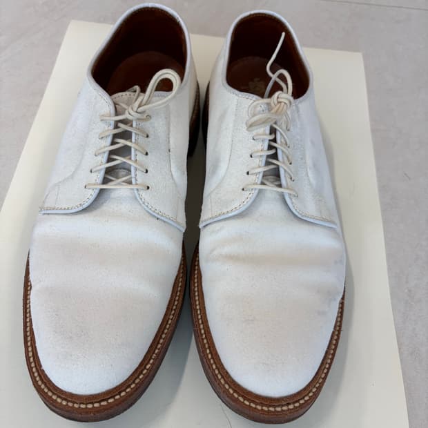 알든 화이트벅스 9