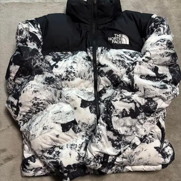 노스페이스 노벨티 눕시 뉴트럴 그레이 패딩 xs