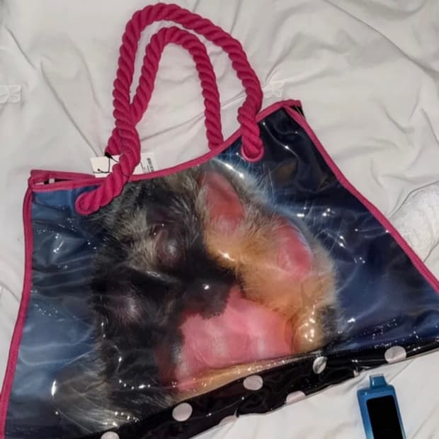 SCULPTOR JELLY BIG BAG PAW