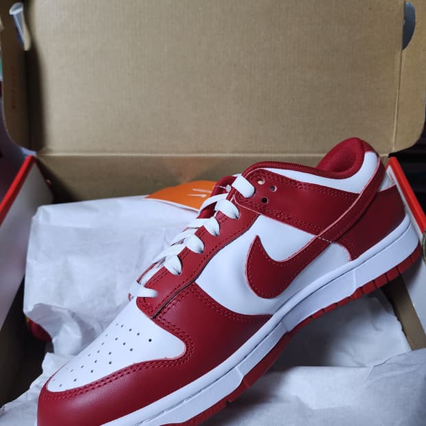 나이키 덩크 로우 '짐 레드' DD1391-602 275