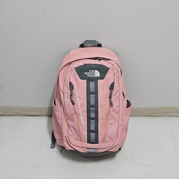노스페이스 빅샷 핑크 백팩