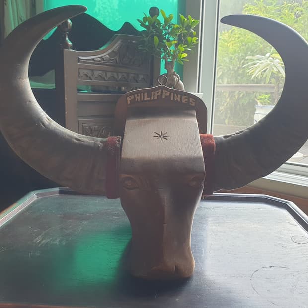 🐂 [희귀 빈티지] 필리핀 카라바오 물소 뿔 목조 벽걸이 오브제 / 민