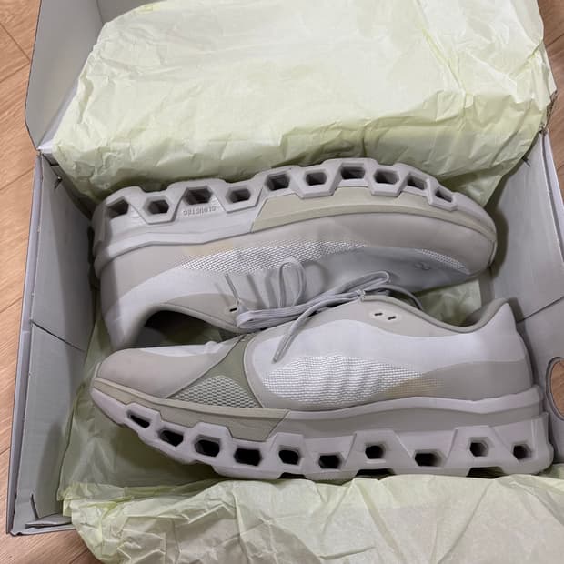 295 온러닝 파프 클라우드몬스터2 문더스트