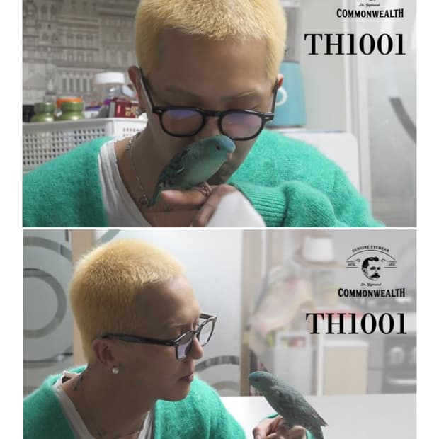 커먼웰스 송민호 안경