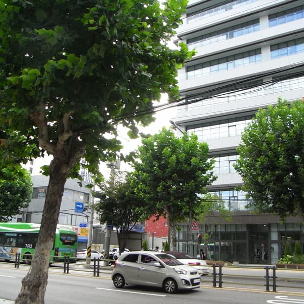 카메라 급처 중으로 샵 내 카메라 일괄 35 (소니,후지)