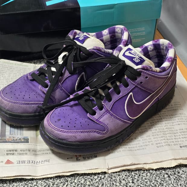 [250] 나이키 SB 덩크 로우 컨셉트 퍼플 랍스터 레귤러 박스