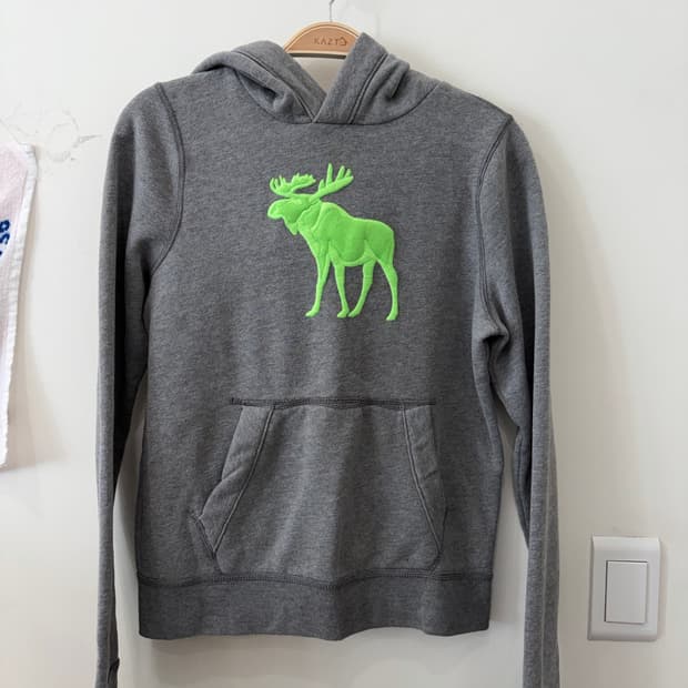 44. 아베크롬비 후드티