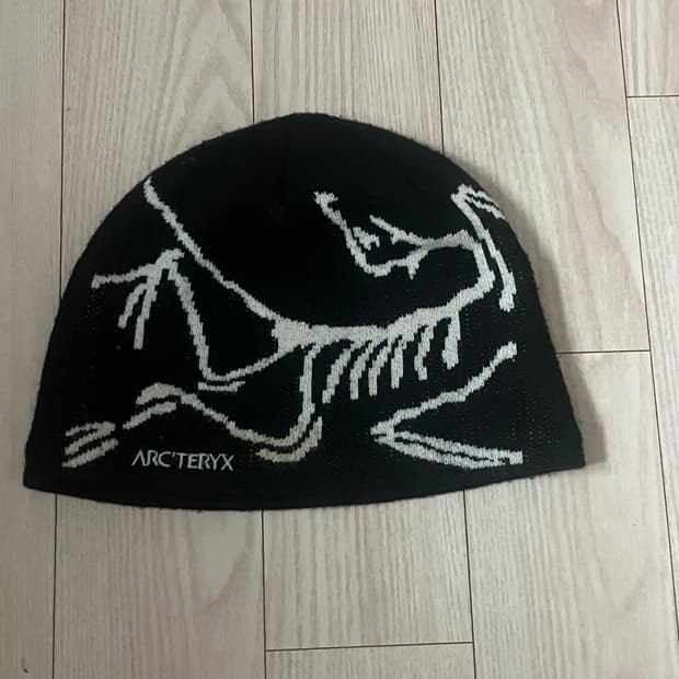 아크테릭스 비니 판매합니다