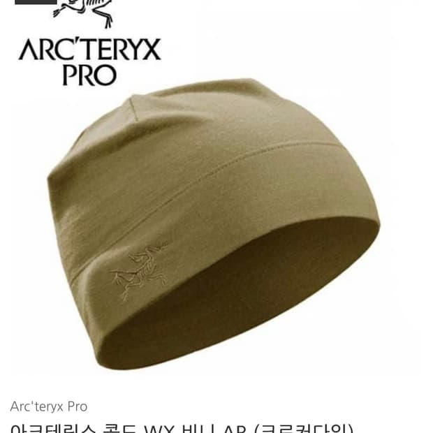 아크테릭스 리프 콜드 WX 비니  크로커다일