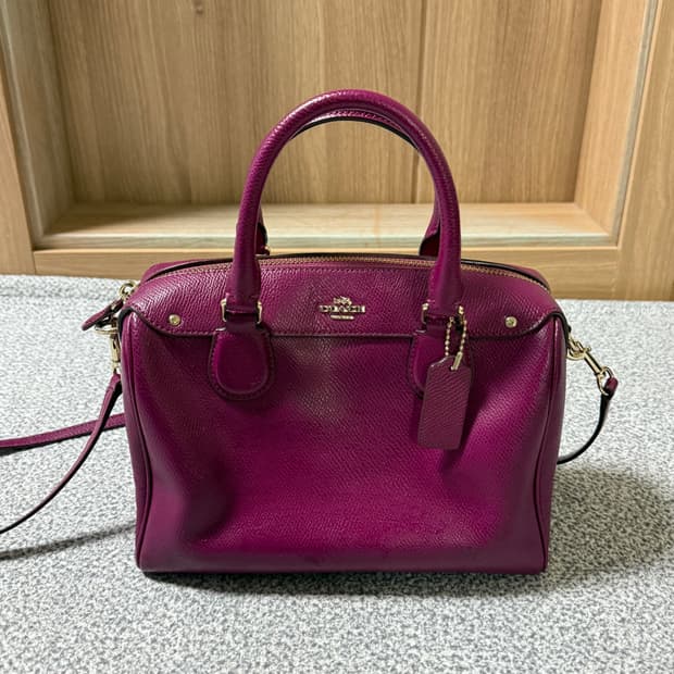 Coach 코치 미니 사첼백 핑크