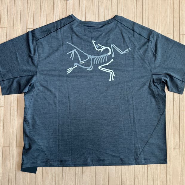 아크테릭스 테마 크롭 로고 반팔티 새제품 정품