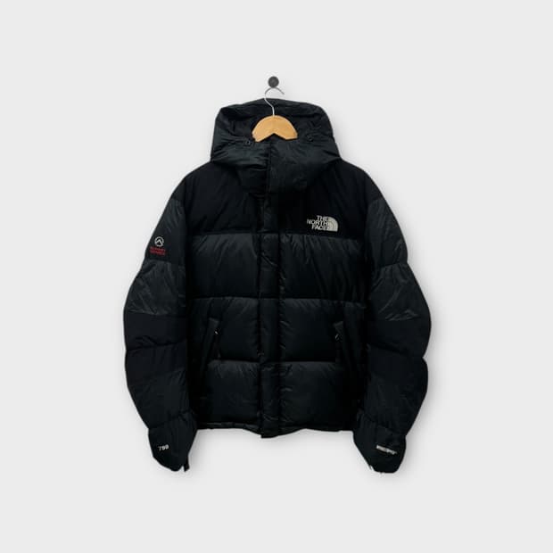 노스페이스 윈드스토퍼 구스다운 95