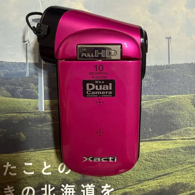 산요 Sanyo cacti CG20 pink 