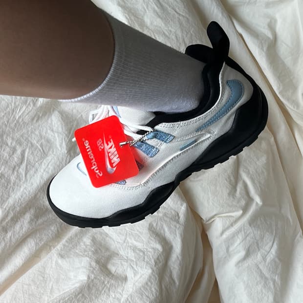 나이키 x 슈프림 sb 다윈 로우 화이트 245