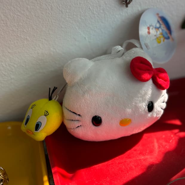 Dead Stock Hello Kitty x Tweety Coin