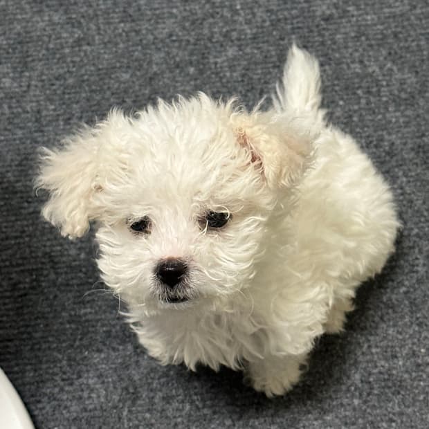 준현이카겨여여여뇨뇨뇨뇨뇰