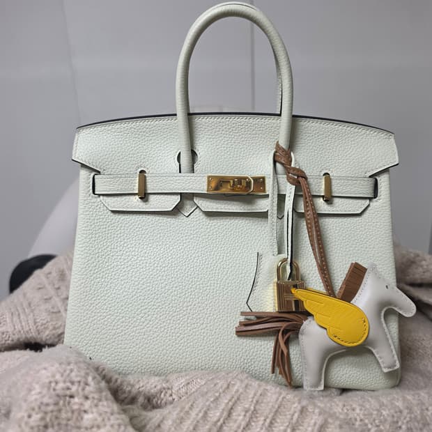 에르st 버킨 25 vert fizz