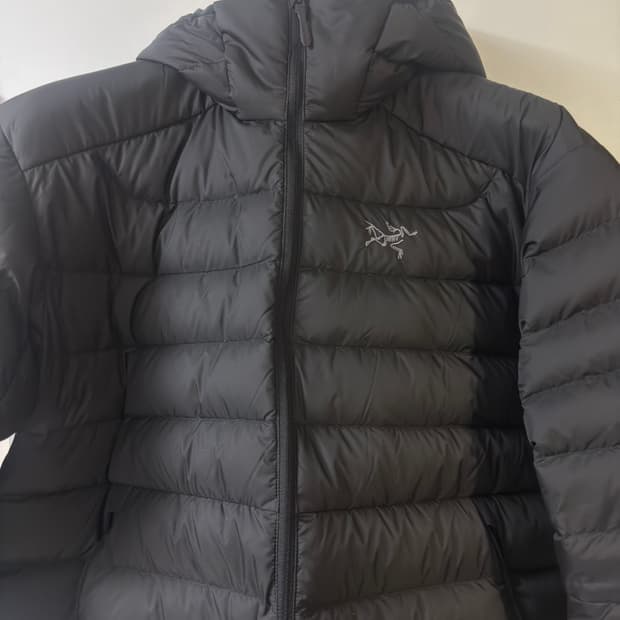 아크테릭스 세륨 후디 L