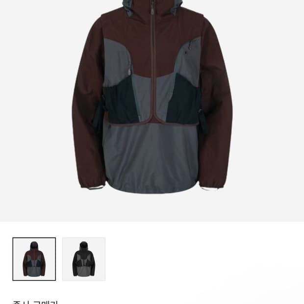 Salomon Pinnacle Anorak Chocolate 바람막이