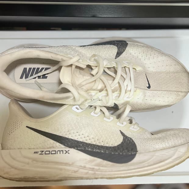 나이키 페가수스 플러스 화이트 255mm