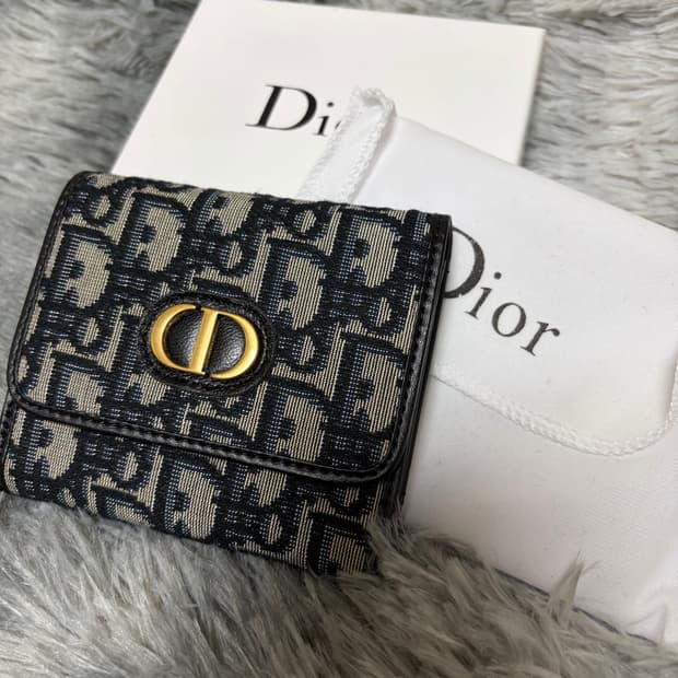 디올 오블리크 몽테인30 지갑 반지갑