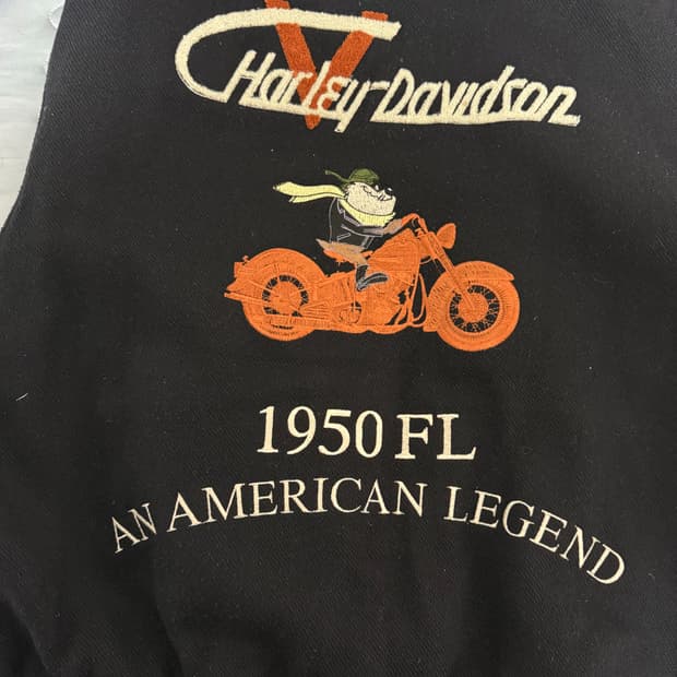 할리 바시티자켓 워너브라더스 콜라보