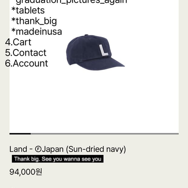 테프스토어즈 Land - ⒻJapan (Sun-dried navy)