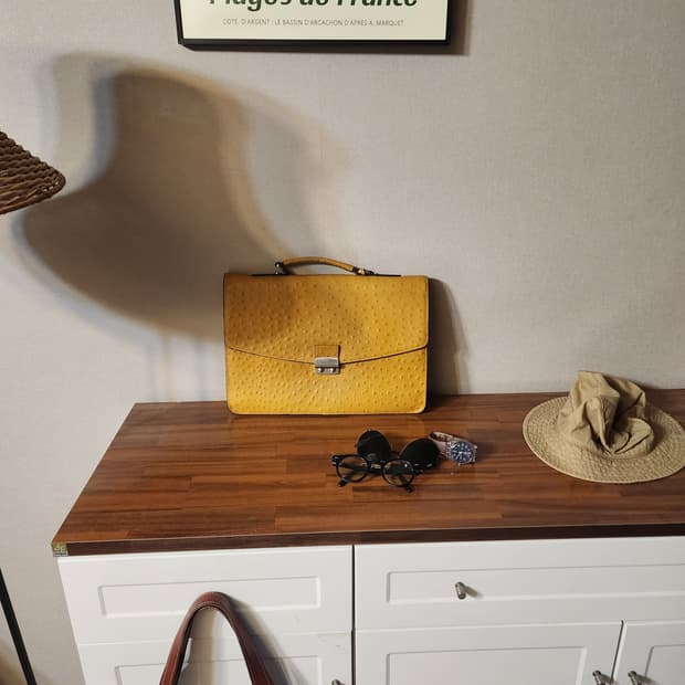 루치카 옐로우 엠보 타조 가죽 브리프케이스