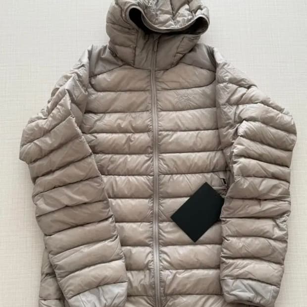 아크테릭스 세륨 룬 L