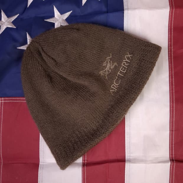 오리지날 아크테릭스 울 비니