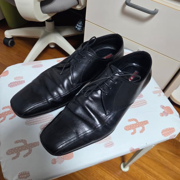 프라다 스포츠 더비 275