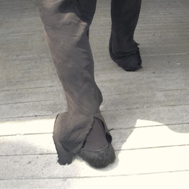 머듈 라운지 팬츠 큐프라